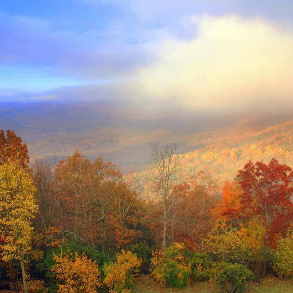 Amicalola Falls State Park And Lodge Dawsonville Luaran gambar
